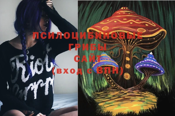 ALPHA-PVP Алексин
