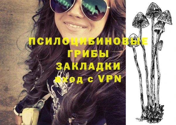 mdpv Алзамай