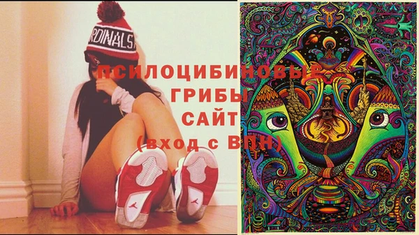 mdpv Алзамай