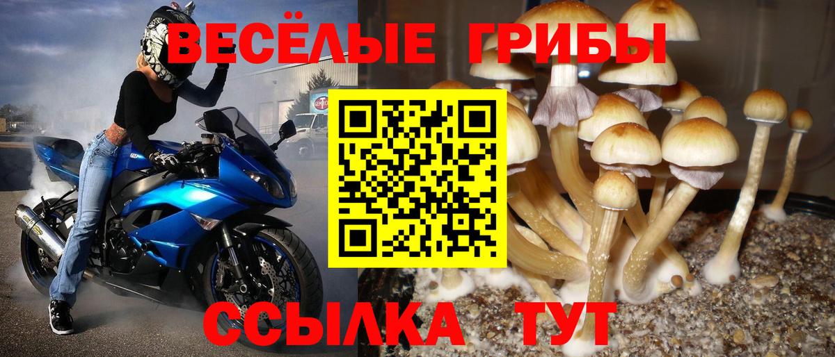 Псилоцибиновые грибы прущие грибы  Вход с VPN  Галлюциногенные грибы Magic Shrooms  Ижевск 
