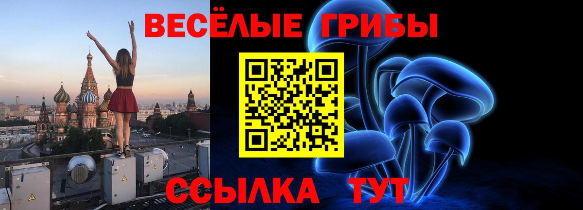 Псилоцибиновые грибы Cubensis Ижевск