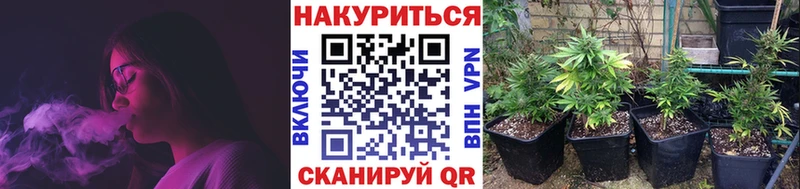 Бошки марихуана конопля blacksprut маркетплейс Ижевск купить наркотик